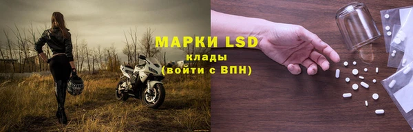 PSILOCYBIN Горно-Алтайск