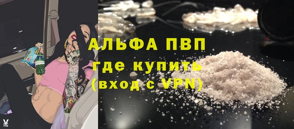 PSILOCYBIN Горно-Алтайск
