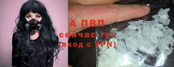 PSILOCYBIN Горно-Алтайск
